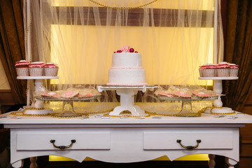 Sweet multilevel wedding cake decorated with beautiful flowers. Candy bar