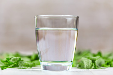 Fresh glass of water with mint on table