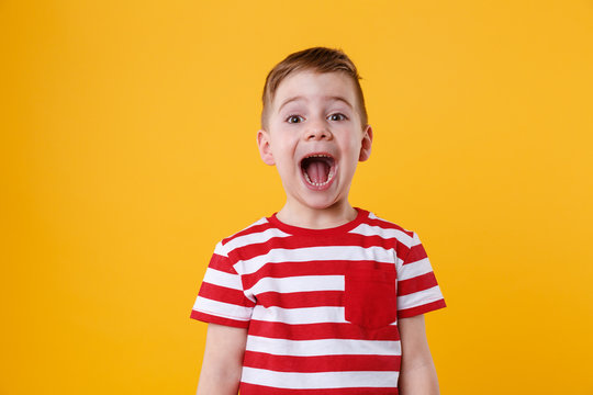 Portrait of a little boy shouting
