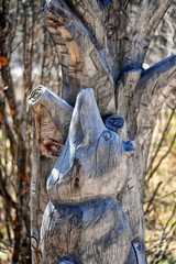 Sculpture of a wolf in wood, typical of the Dolomites mountains