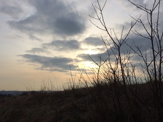 Obraz premium Naturlandschaft am Abend