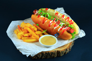Fast food. Hot Dog with French fries.