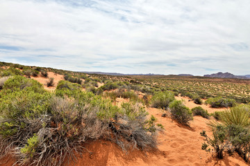 Horseshoe Bend - Page
