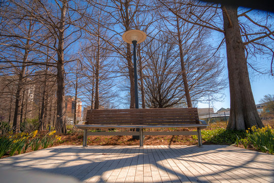 Park Bench