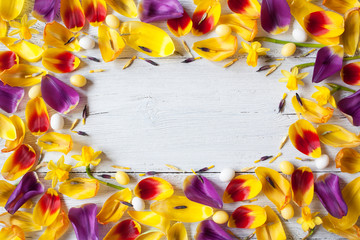 Background with yellow and purple tulip petals