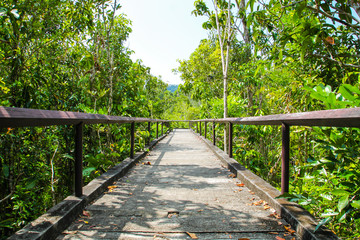 Bridge concrete walkway with tree in the public park