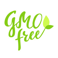 Fototapeta premium GMO free hand drawn logo, label, with leaf and sprout. Vector illustration eps 10 for food and drink, restaurants, menu, bio markets and organic products. Brush lettering, calligraphy.