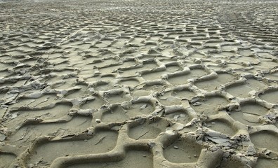 Tire tracks on the sand