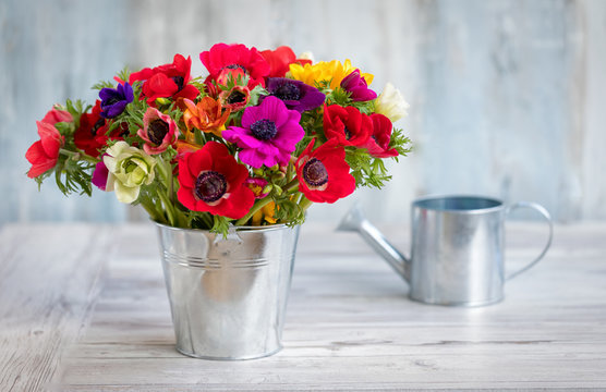 Bunte Fr&uuml;hlingsblumen im Zinktopf: Anemonen und Fresien