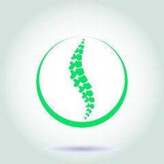 Human spine isolated on a white background. Vector illustration. Green silhouette of spine.  symbol of diagnostic. Vector. human spine silhouettes. Spine.Logo element