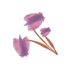drawing purple flower ornament vector illustration eps 10