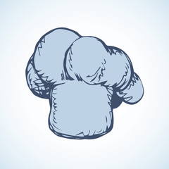 Hat cook. Vector drawing