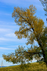 Obraz premium Amazing autumn landscape, Armenia