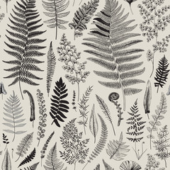 Seamless pattern. Ferns. Vintage vector botanical illustration. Black and white © OlgaKorneeva