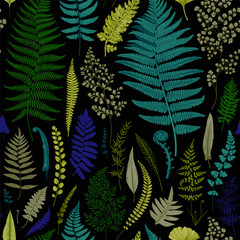 Seamless pattern. Ferns. Vintage vector botanical illustration. Vivid