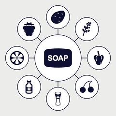 Set of 9 freshness filled icons