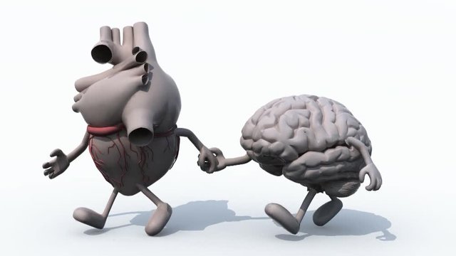 human heart and brain that walk hand in hand, 3d animation loop 