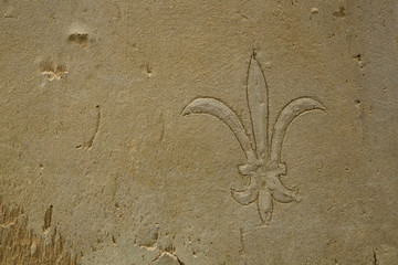 sand texture