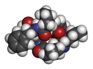 Beta-casomorphin peptide 7 molecule. Breakdown product of casein that may play a role in human diseases. 3D rendering. Atoms are represented as spheres.