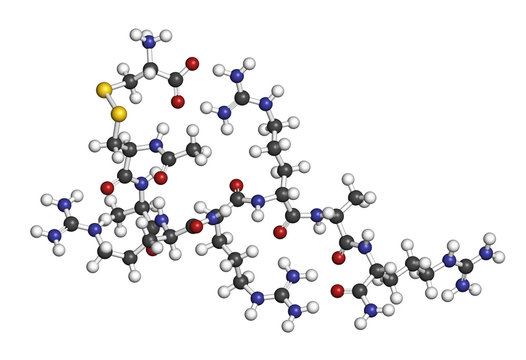 Etelcalcetide drug molecule. 3D rendering. Atoms are represented as spheres with conventional color coding.