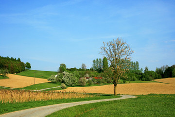 Frühlingslandschaft in Niederbayern