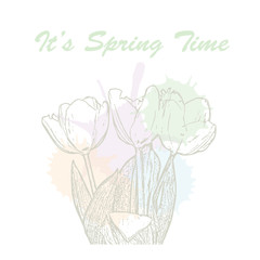 It's spring time hand drawn lettering typography with tulip flowers and watercolor pastel blots. Vector illustration of concept for invitation, card, ticket, label, banner