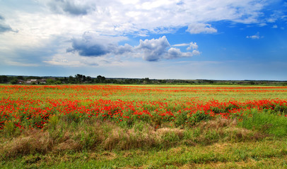 Fototapeta na wymiar Красные маки на поле, небо, облака и деревни в расстояние