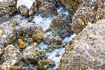 The waves of the ocean on the coastline