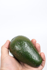 Whole green avocado in the hand over white background
