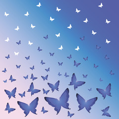 Flowers on a light background.