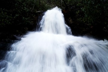 Naklejka premium Laurel Falls