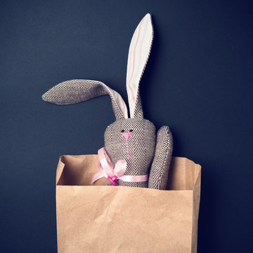 Easter bunny in a paper bag. Rabbit. Black background. Easter ideas. Easter eggs. Space for text. Image in trendy toning.