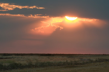 A fine summer evening in the steppe