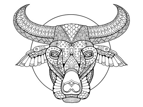 Buffalo head coloring book vector illustration