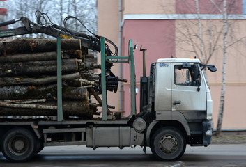 semitrailer with logs, timber carrier,log truck, industry,car in motion on the road
