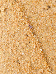 Abstract natural sandy beach closeup, seacoast background. Space surface for text