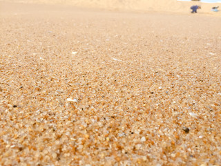 Abstract natural sandy beach closeup, seacoast background. Space surface for text