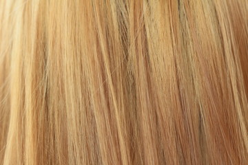 Naklejka premium The beautiful blond hair as a background