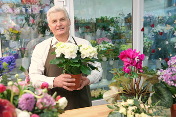 Male florist holding pot with flowers in flower shop