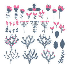Collection of flowers, berries, leaves and branches. Set of floral elements