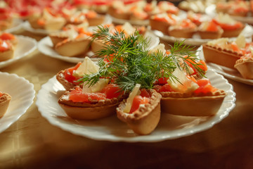cheese, red fish and arugula sandwich on a board, selective focus, copy space