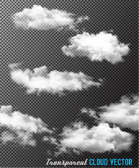 Transparent set of cloud vectors