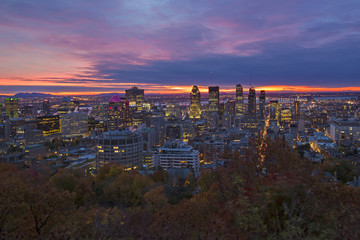 Naklejka premium Montreal autumn sunshine