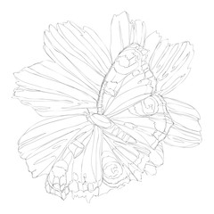 Fototapeta premium beautiful flowers line art continuous line drawing