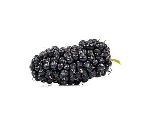 Mulberry isolated on the white background