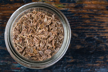 Rosemary Spilled from a Spice Jar