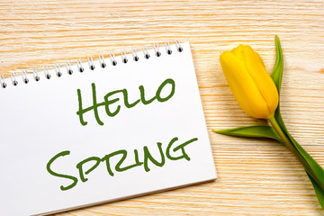 hello spring message with yellow tulip