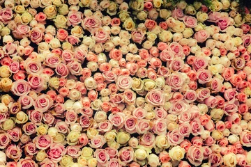 Blumenwandhintergrund mit erstaunlichen Rosen © joeycheung
