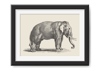 retro vector illustrations series: vintage drawing of an Indian elephant - great for adventure / travel themed posters or as graphic design element for other print projects