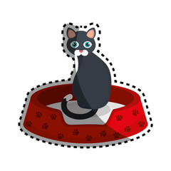cute kitty mascot icon vector illustration design